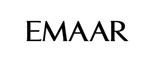 Developer Logo